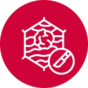 Patients with Significant Frailty or Comorbidities